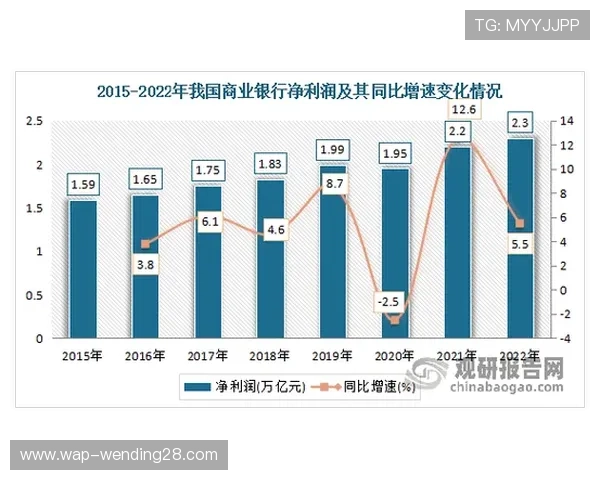 问鼎官方首页：利用数据分析实现网站问鼎首页的持续增长
