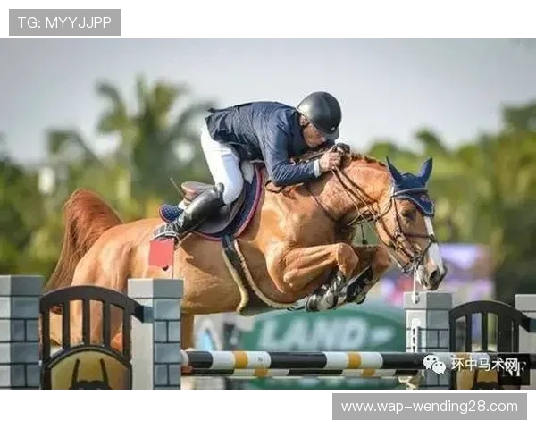 问鼎体育官网入口提供便捷登录通道，轻松进入多元化体育娱乐世界尽享极致体验