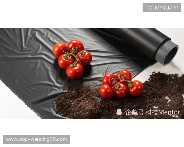 问鼎真人：修炼心法全解析，打造坚不可摧的修炼心境